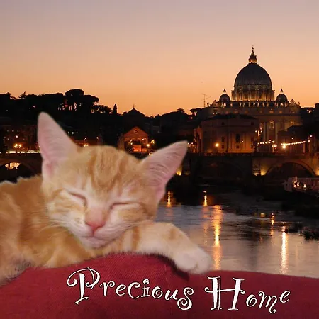 Precious Rome
